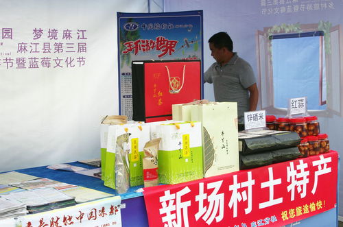 贵州麻江 乡村旅游节为媒 助力农产品销售 图