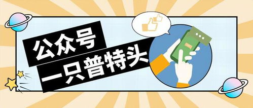 零申报被罚338万 2024年企业零申报标准,大改