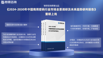 2024年中国商用密码行业现状分析及发展趋势预测报告(智研咨询)